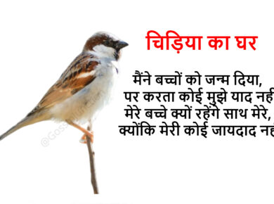 चिड़िया का घर - Beautiful Lines